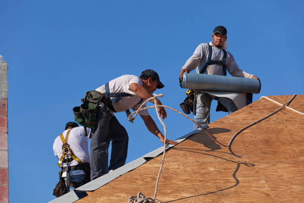 Best Storm Damage Roof Repair  in Owosso, MI