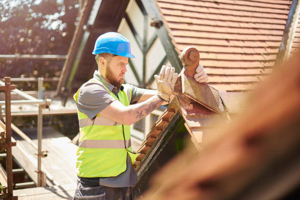 Best Metal Roofing Contractor  in Owosso, MI