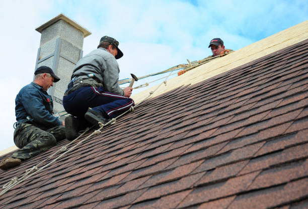 Best Roof Gutter Cleaning  in Owosso, MI